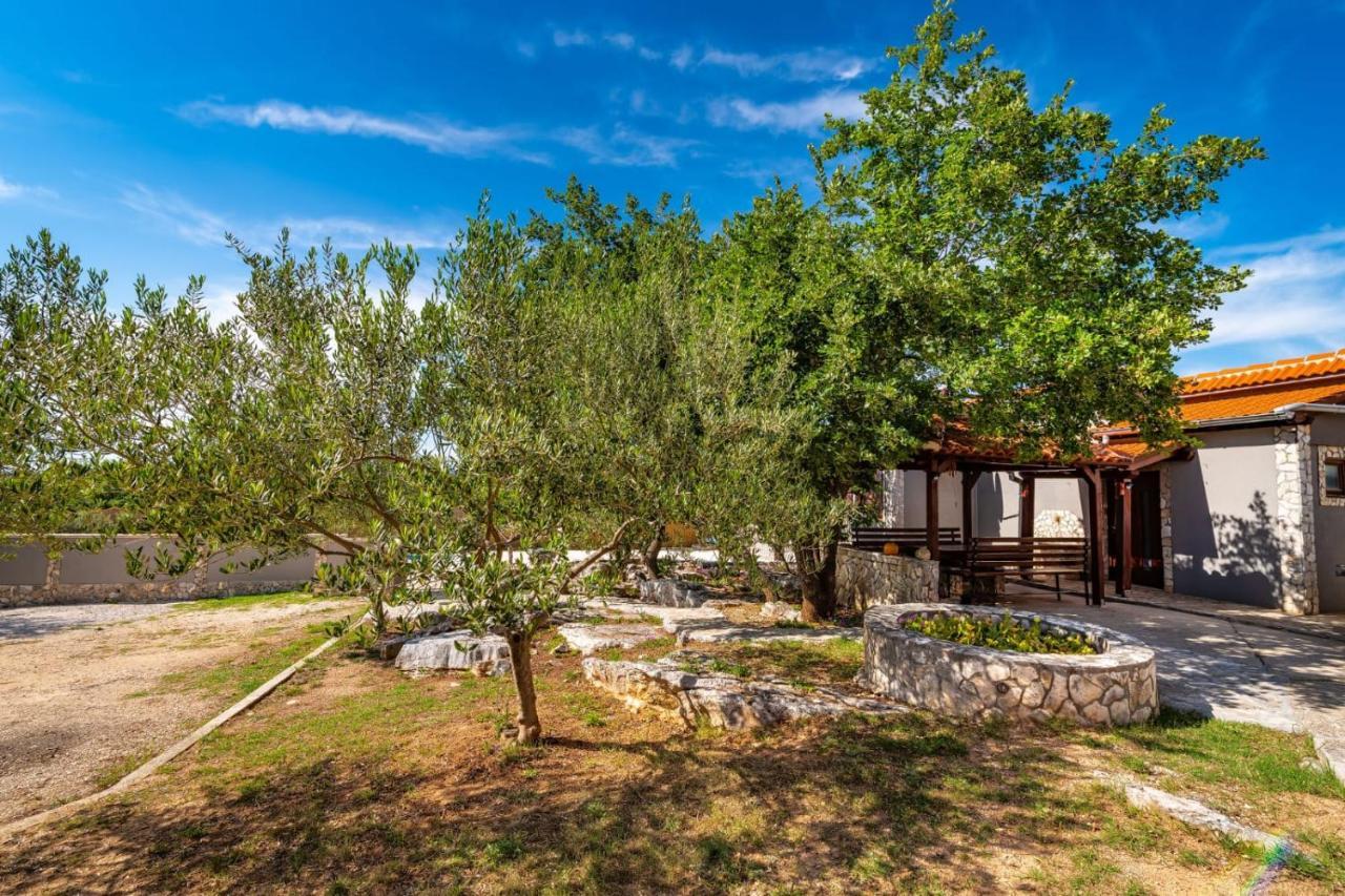 Villa Eagle Бенковац Экстерьер фото