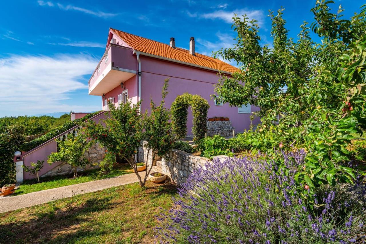 Villa Eagle Бенковац Экстерьер фото